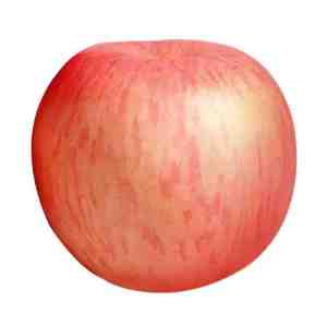 Premium Fuji Apple - Premium Fuji Apple