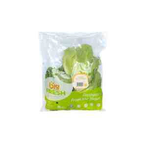 Big Fresh Selada Butterhead Hidropronik 200gr - Big Fresh Selada Butterhead Hidroponik premium. Di