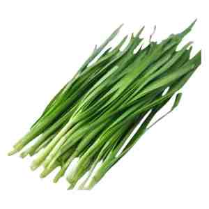 Daun Kuchai 100g Pkt - 520971