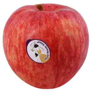 Premium New Zealand Rose Apple - Premium New Zealand Rose Apple