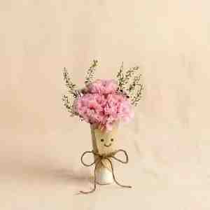 Jellycat Smiling Face Preserved Carnation Bouquet - Preserved Pink Carnations x 3 Preserved Filler Fl