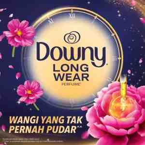 Downy Long Wear Pelembut  Pewangi Pakaian 3 in 1 Midnight Opulence 500 ml - Downy Long Wear Pelembut  Pewangi Pakaian 3 in 1