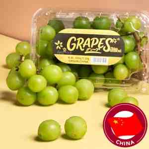 China Shine Muscat Grape 500g - China Shine Muscat Grape 500g