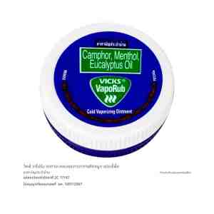 VICKS Vaporub Cold Vaporizing Ointment 10 g. - .8832564