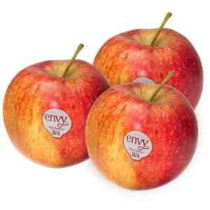 3 Envy Apple Pack 3 - Envy Apple Pack 3