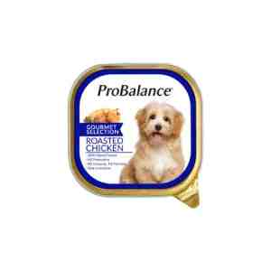 Probalance Roast Chicken 100g - 1143 - SKU 007477