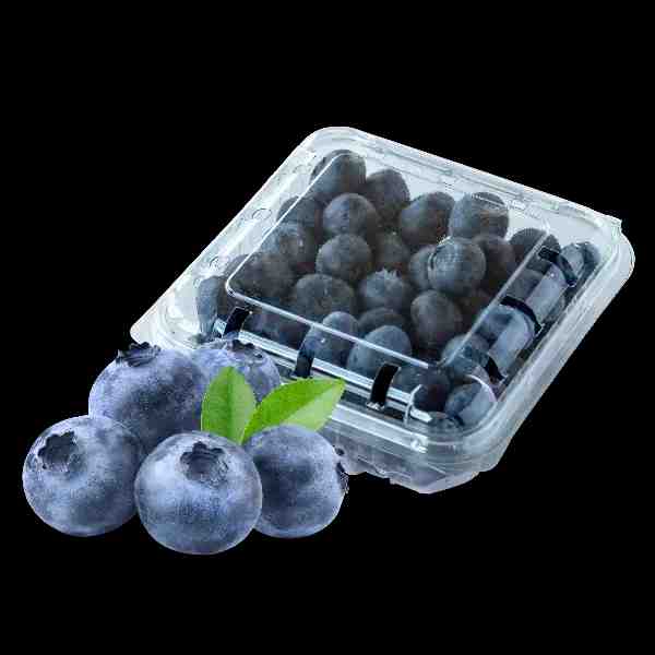 125 . BLUEBERRY PACK 125 G 10014418 - Brand - 10014418